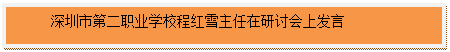 文本框:深圳市第二职业学校程红雪主任在研讨会上发言